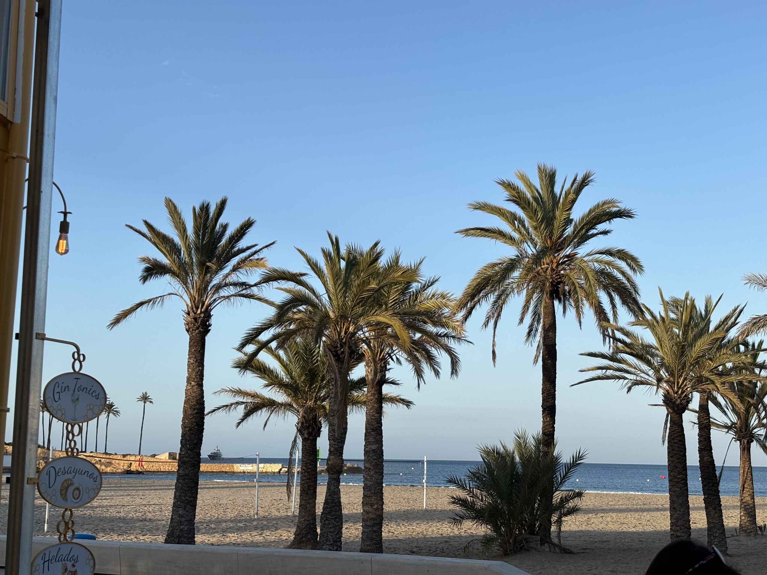 Palm