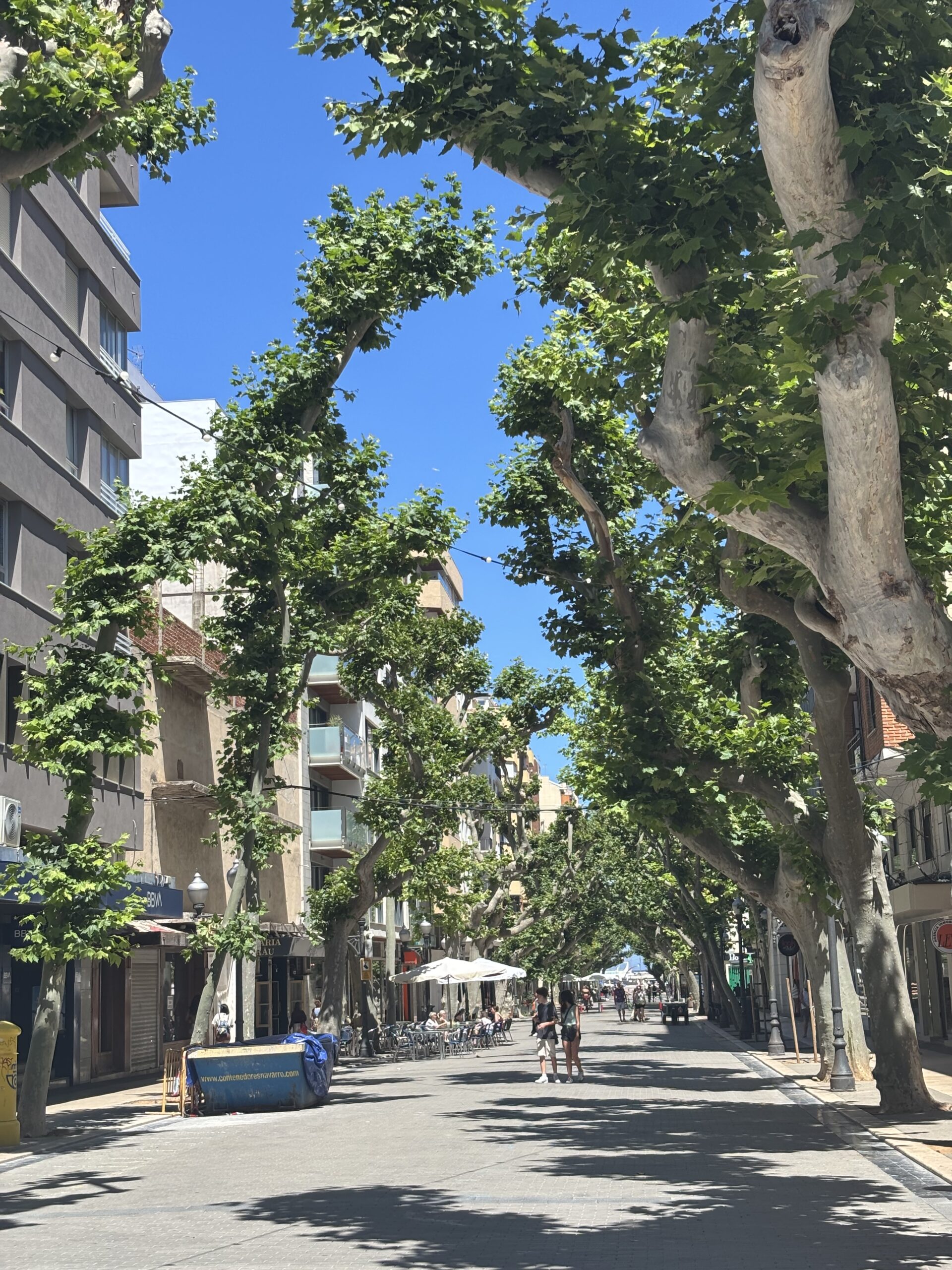 Denia